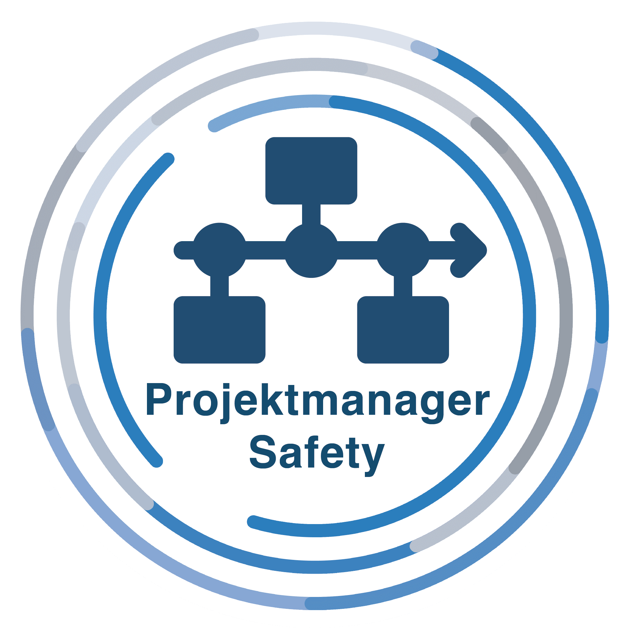 Projektmanager Safety 1 Projektmanager Safety